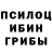 Псилоцибиновые грибы прущие грибы Vernisazj Kld